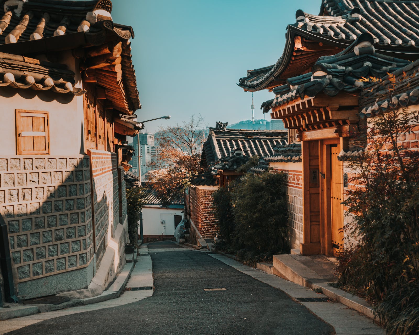 pexels-photo-3092902
